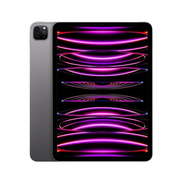Apple iPad Pro 11" (2022) 256 GB Cellular vesmírně šedý (Kategorie B)