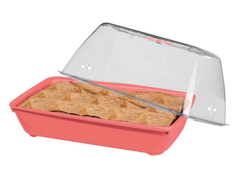 Parkside® Mini skleník (Bio zahrádka s bobulovým ovocem)