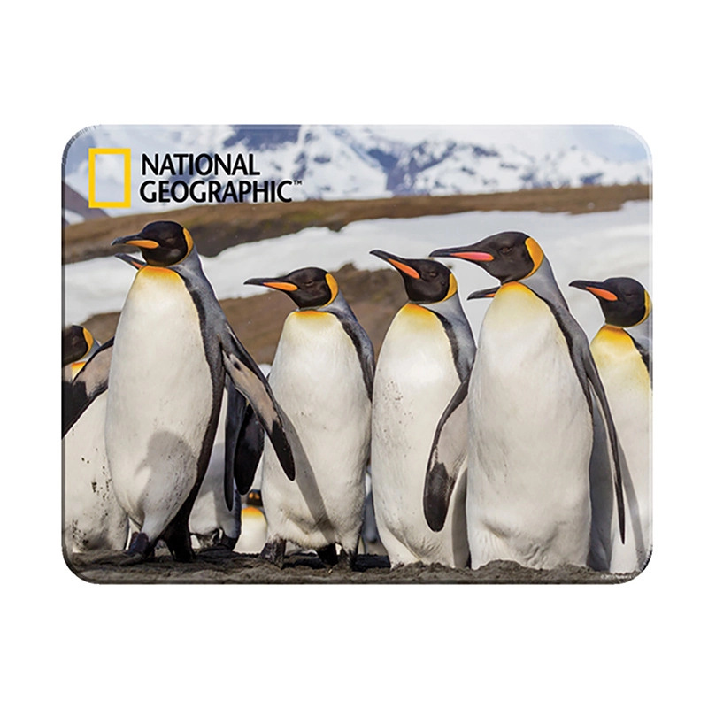 Magnetická 3D sada – tučňáci PRIME 3D