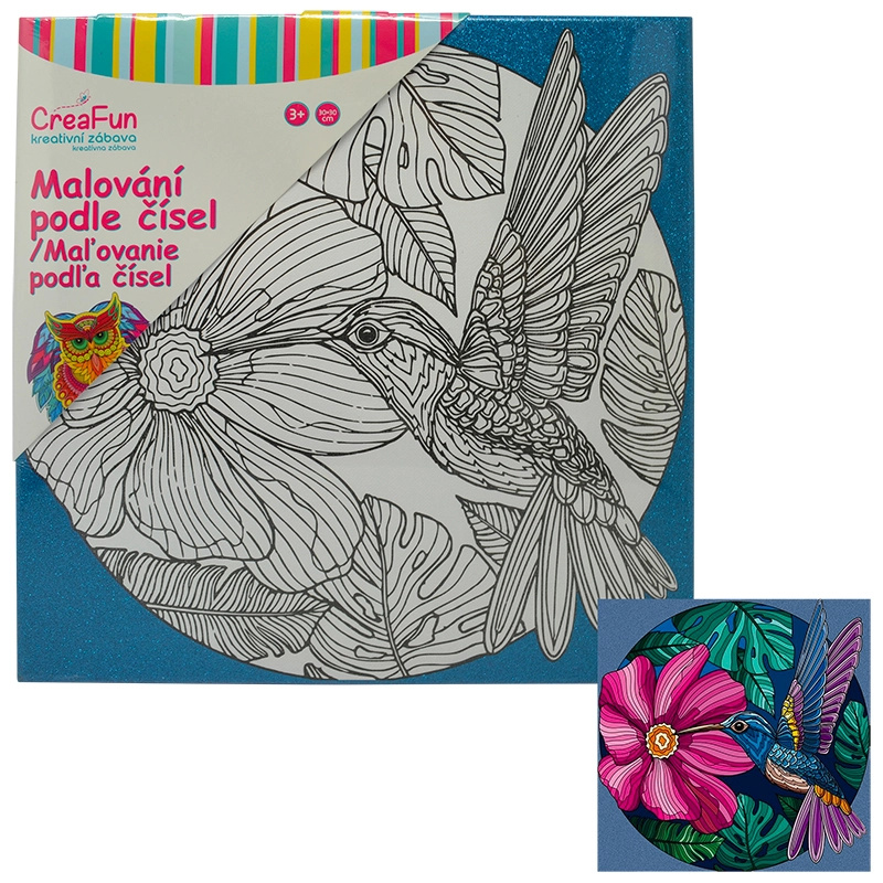 Malování na plátno  - Kolibřík 30 x 30 cm