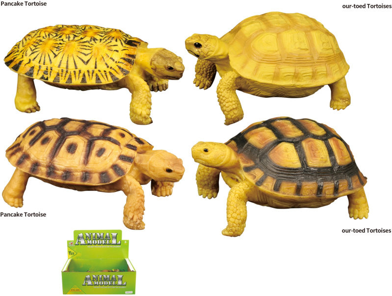 Zvířecí svět - Želva H54 4 druhy