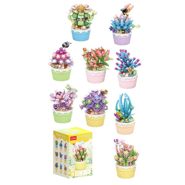 FLORIST Sukulenty v ozdobných květináčích, 9 druhů