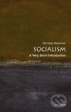 Socialism - Michael Newman
